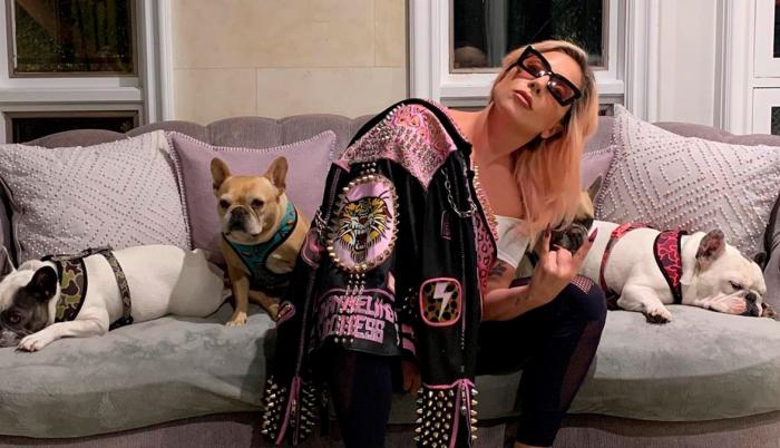 Lady Gaga y sus perros