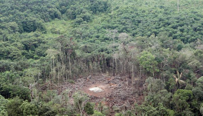 Vista aérea del lugar del bombardeo del 1 de marzo de 2008, realizado por fuerzas colombianas en el que murió el segundo de las FARC, Raúl Reyes, en Angostura, provincia de Sucumbios en zona fronteriza con Colombia.