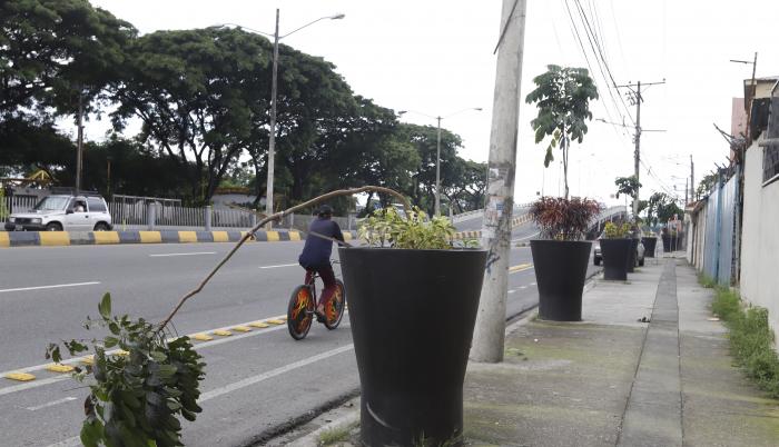 ARBOL INCLINADO.