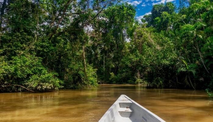 rio amazonia