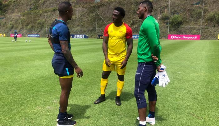 AUCAS-TRICOLOR-AMISTOSO-MONTEOLIVO