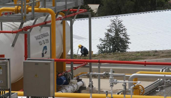 Petroecuador se convertiría en una empresa de accionistas.