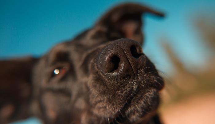 patrick-hendry-uL6fEGCI-8Y-unsplash