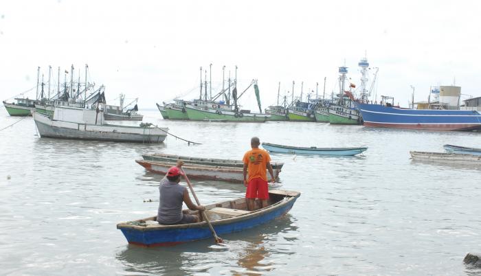Pesca+pelágicos pequeños