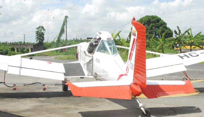 banano avioneta