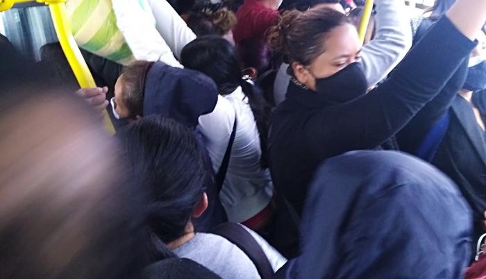 bus