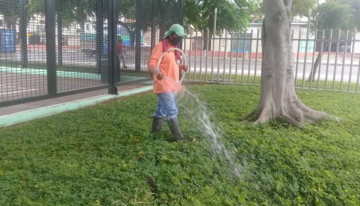 Trabajadores limpian las cenizas 1