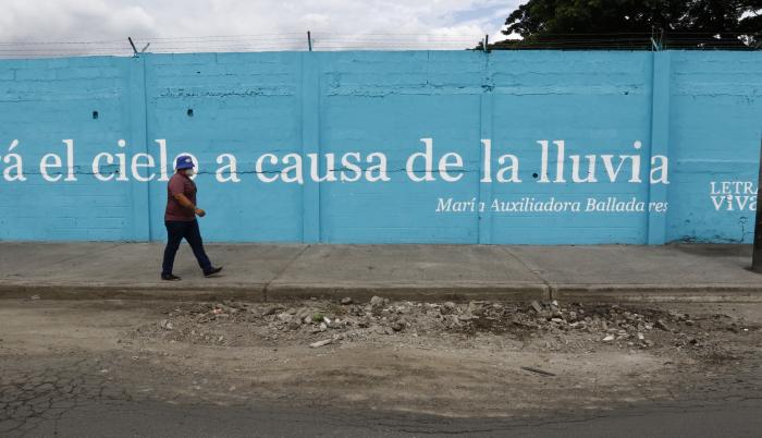 MURAL DE LA 44 Y LA C (33197751)
