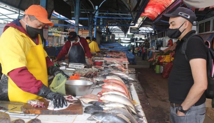 La Sierra consume el 66 % del tiburón pescado ilegalmente