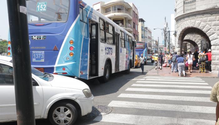 buses