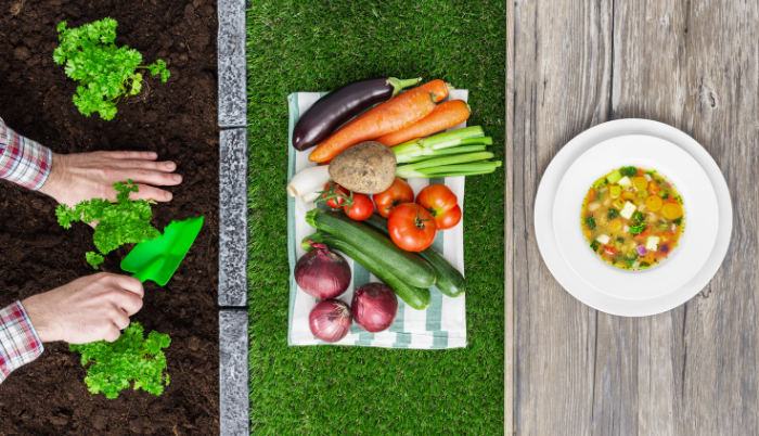 Alimentación sostenible