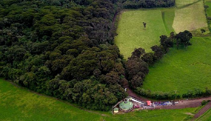 bosque