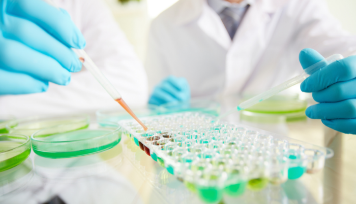 Investigadores