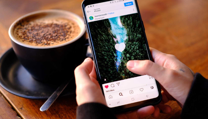 Instagram Likes