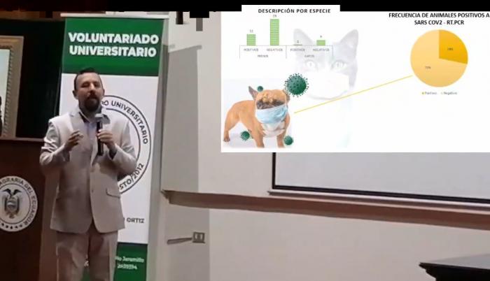 Investigación