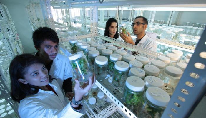 Científicos en un laboratorio