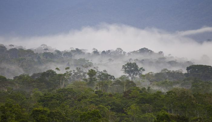 La región amazónica de Ecuador, que ocupa sus seis provincias orientales, y del noreste de Perú conforman un biocorredor megadiverso, donde viven unos 600.000 habitantes y existen, al menos, 30 pueblos y nacionalidades indígenas.
