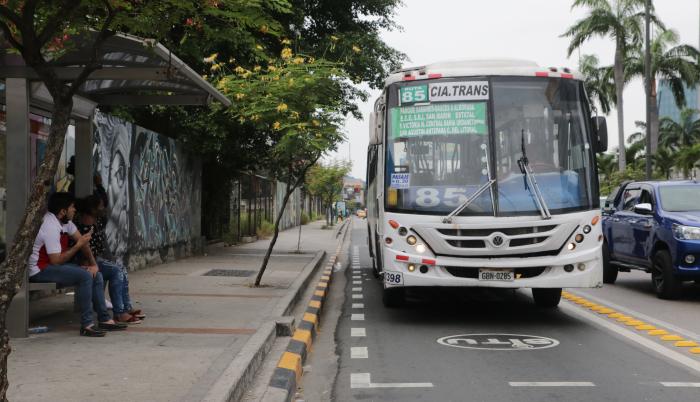 buses
