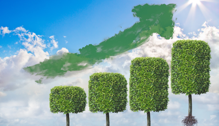 Inversión verde