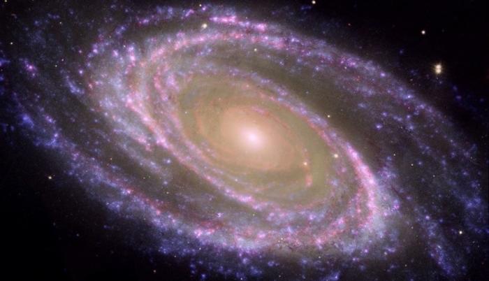 Ejemplo de galaxia espiral cercana M81, donde se identifica fácilmente el bulbo, la parte central más rojiza, y el disco, plagado de zonas donde se forman estrellas actualmente y aparecen como regiones azules formando brazos espirales.