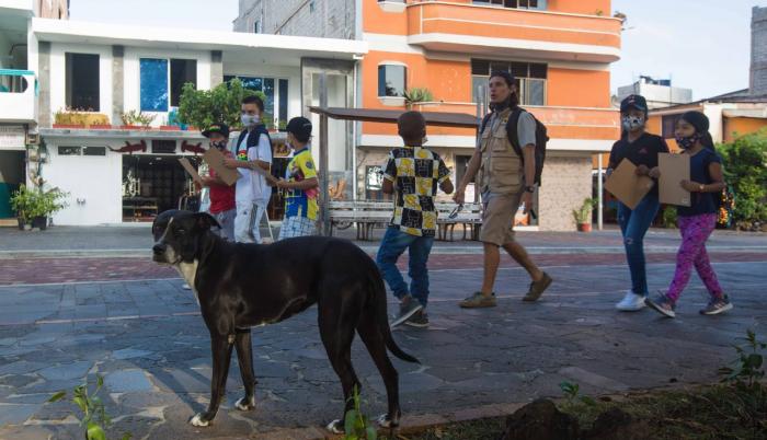 Vida silvestre_Ordenanza_Ecuador_Galápagos