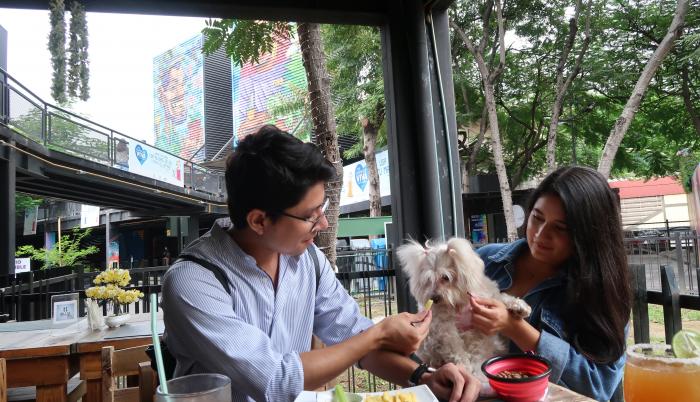 Pet friendly
