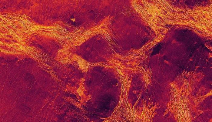 Vista de radar en falso color de 1.100 km de ancho de la Planicie de Lavinia, una de las regiones bajas de Venus donde la litosfera se ha fragmentado en bloques (púrpura) delineados por cinturones de estructuras tectónicas (amarillo).
