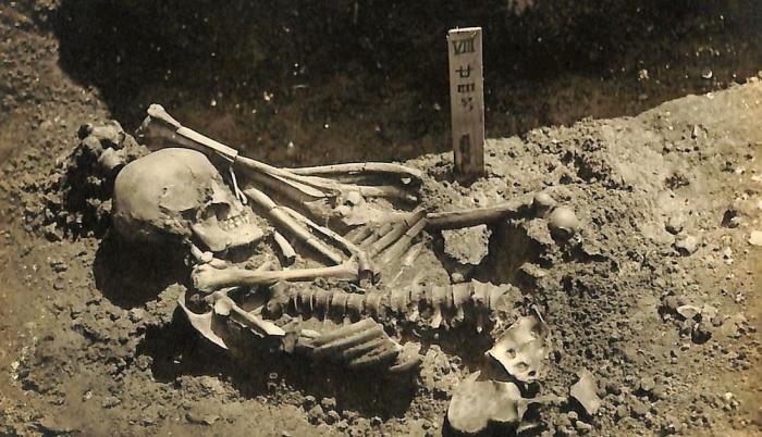 Fotografía original del individuo 24 encontrado en el yacimiento de Tsukumo. EFE/Laboratorio de Antropología Física de la Universidad de Kioto.