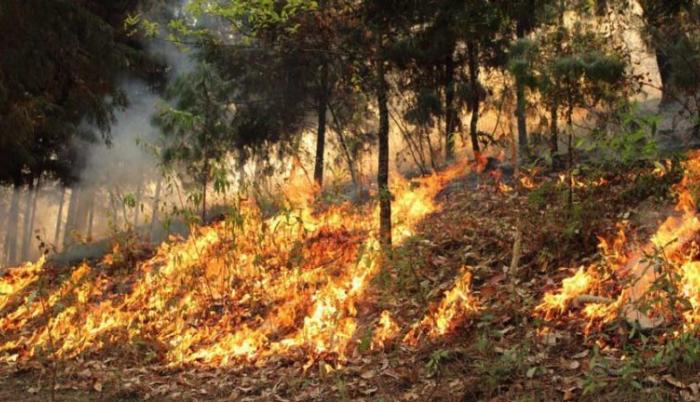 incendios