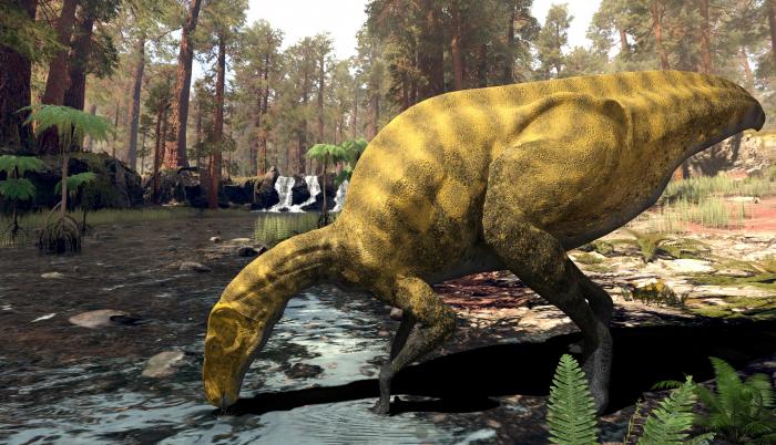 Recreación del nuevo dinosaurio, parecido a un