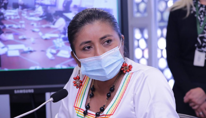 ROSA CERDA