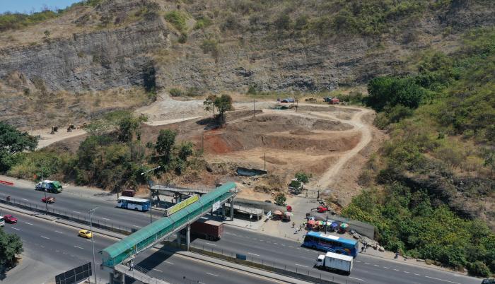 ARBOLES ARRANCADOS T. (33499466)