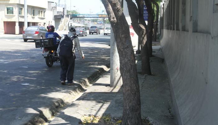 ARBOLES AFECTA AL PEAT (6836462)