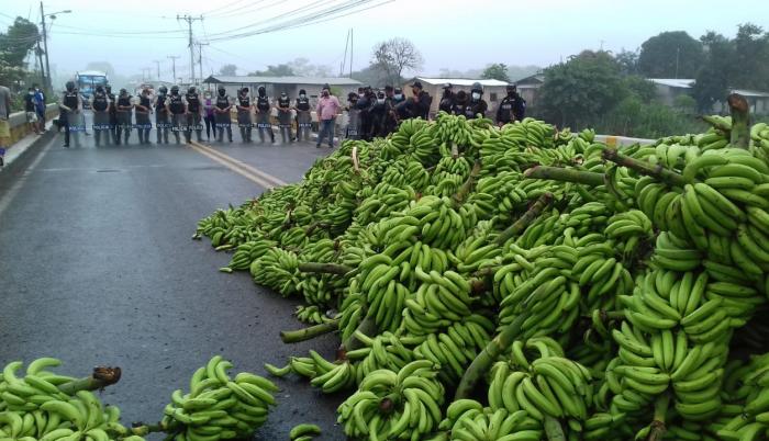 Bananas paro