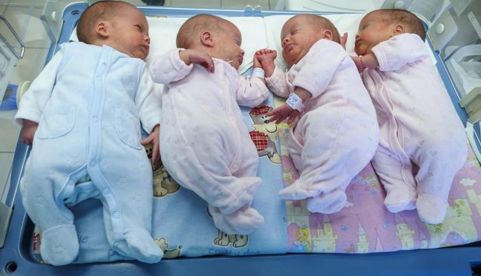 Bebés