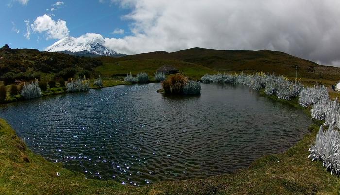 AGUA2