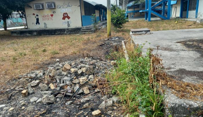 Maleza colegio