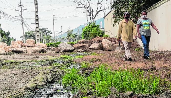 Terreno. Este es el terreno adjunto a la urbanización que recibe las aguas negras de la planta de tratamiento de aguas residuales de Colinas del Bosque.