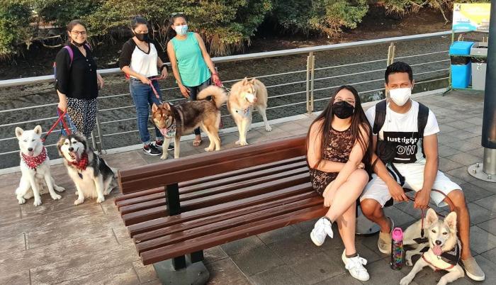 Mascotas