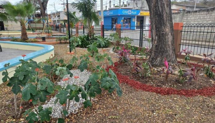 MINGA COMUNITARIA EN PROGRESO 3