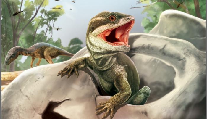 Reconstrucción de Taytalura en su hábitat natural con la conífera extinta Rhexoxylon en Ischigualasto (Argentina), durante el Triásico Superior.