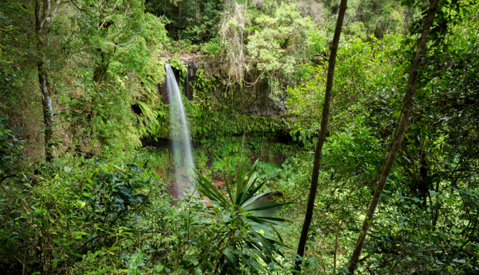 Biodiversidad