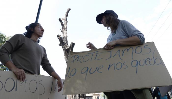 Foto de Sistema Granas (6957515)