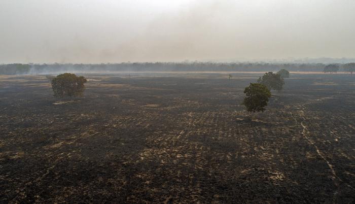 De acuerdo con los expertos, la mayoría de los incendios son provocados por la deforestación de la selva, causada principalmente por la minería ilegal y el comercio ilícito de madera.