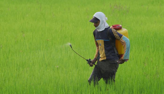 Los insecticidas