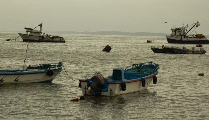 pesca