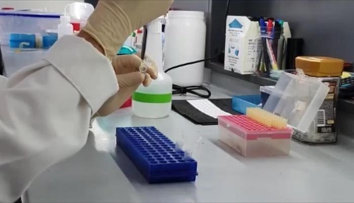 Ciencia
