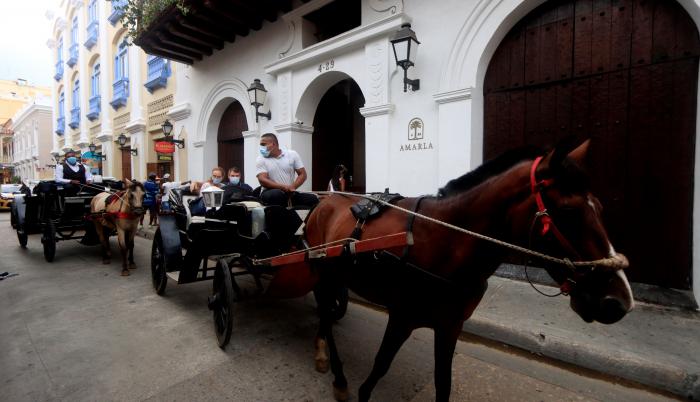 Caballos