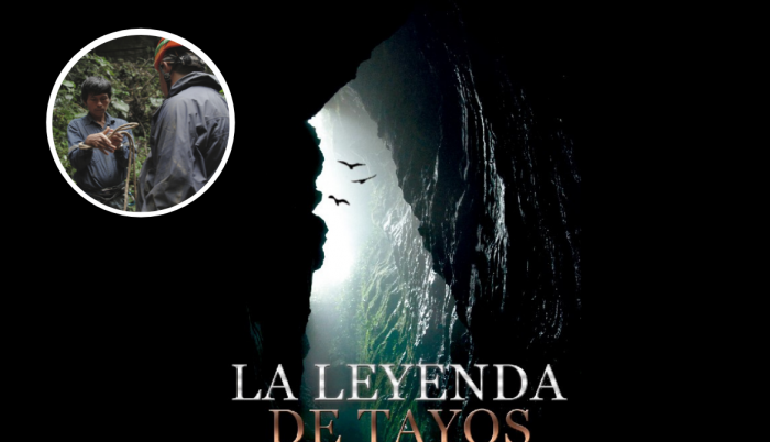 Cine