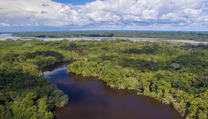 Parque Nacional Yasuní